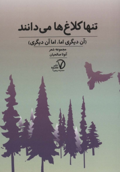 تصویر  تنها کلاغ ها می دانند (آن دیگری اما،اما آن دیگری)،(مجموعه پرهون 6)